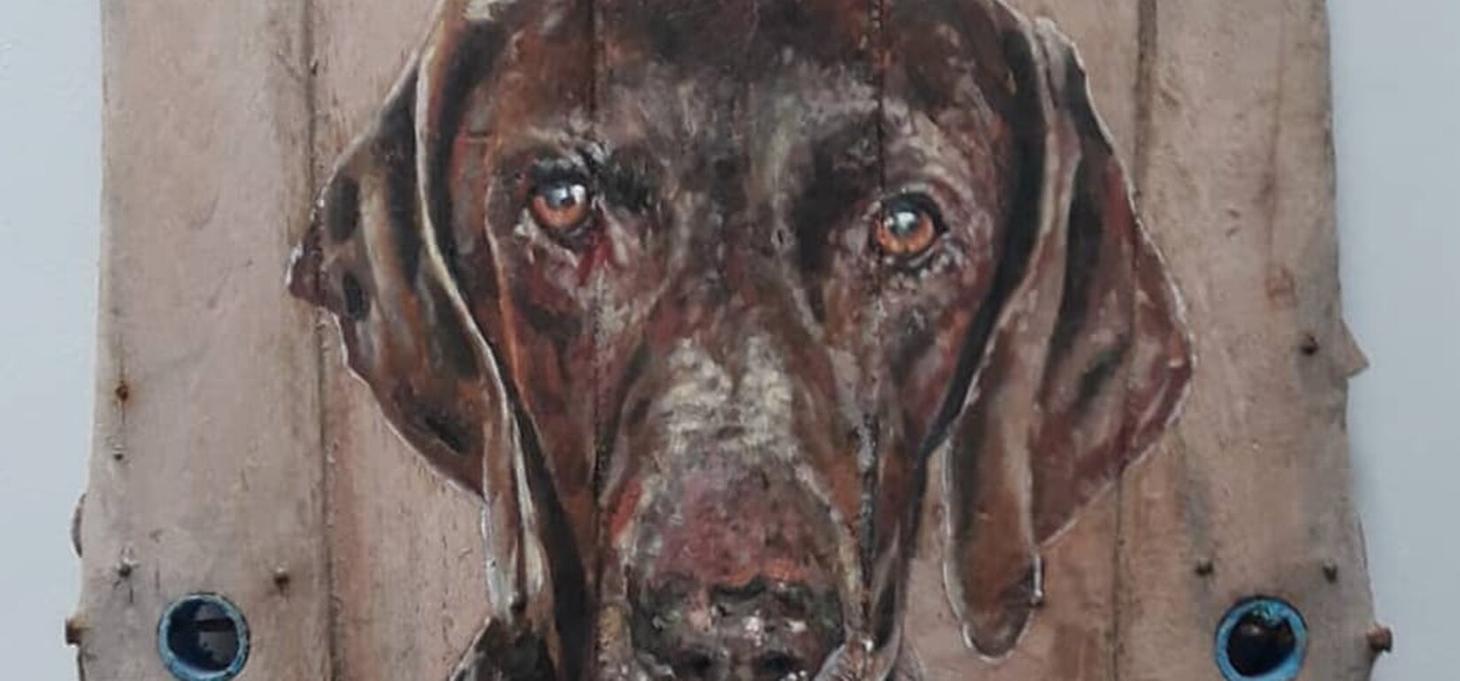 Win a pet portrait worth over £300