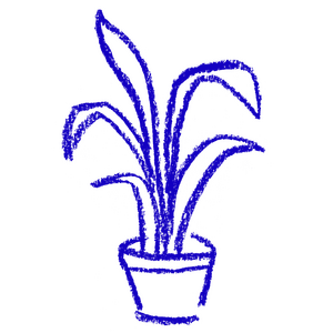 Trustee of Teesside Mind